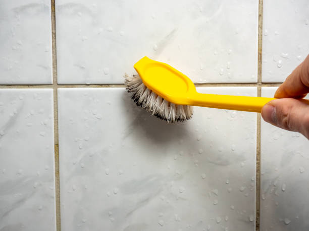 Best Kitchen Mold Remediation in Arcadia, WI