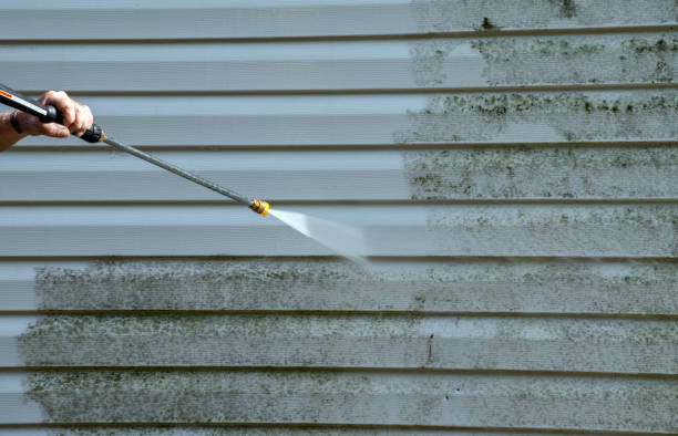 Professional Mold Remediation in Arcadia, WI